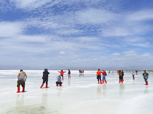 1631084482489257.jpg 1631084482489257.jpg